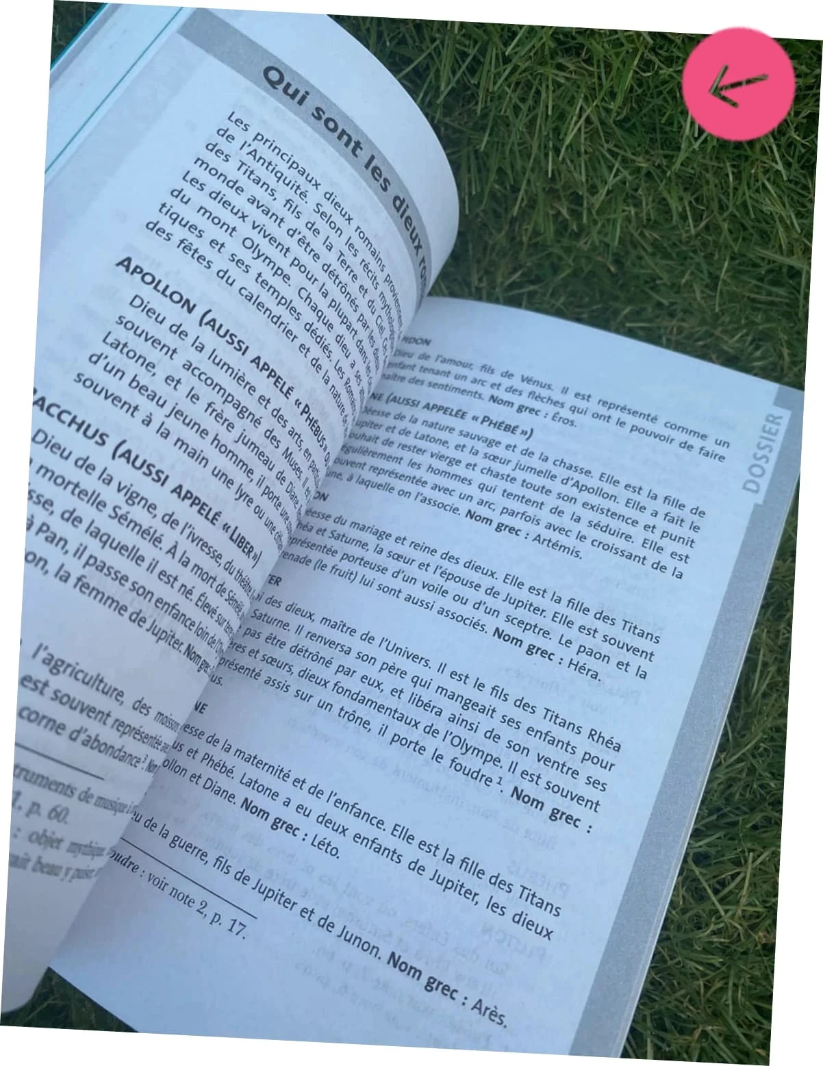 Livre les métamorphoses, collection sixième – photo 6
